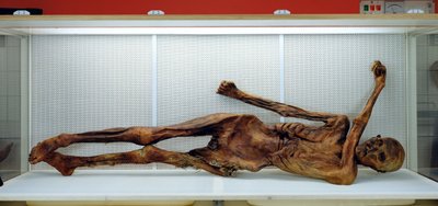 Oetzi Iceman 作： Unbekannt Unbekannt